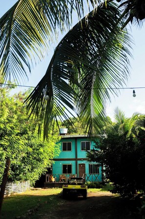 Un bâtiment à deux étages, doté d’un toit végétalisé, entouré d’une végétation luxuriante et de palmiers.