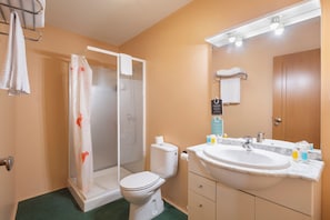 Un baño con ducha, inodoro, lavabo y espejo.