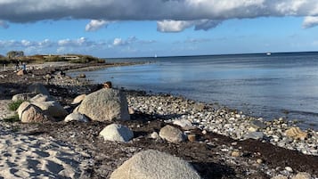 Nära stranden