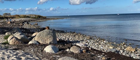 Vlak bij het strand