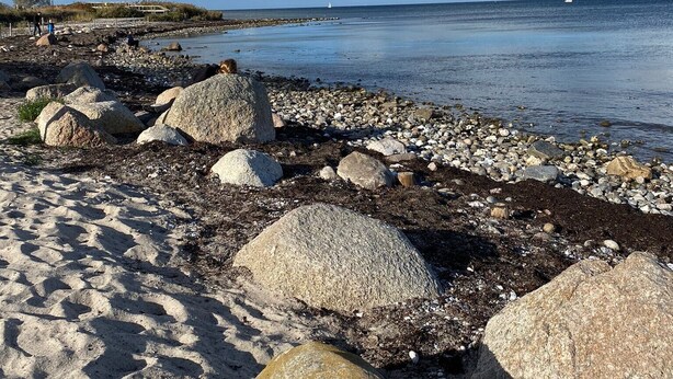 A rocky beach with large boulders, a clear sky, and calm sea.