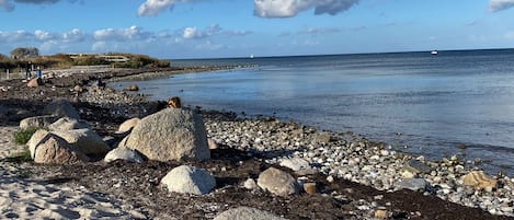 Playa en los alrededores
