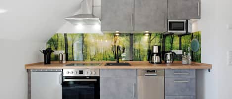 Fridge, microwave, oven, stovetop