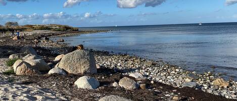 Playa en los alrededores