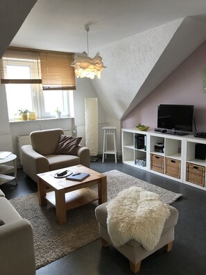 TV, DVD player, stereo - Apartment 'Ferienwohnung Mandelblüte' with Mountain View and Wi-Fi (Schotten)