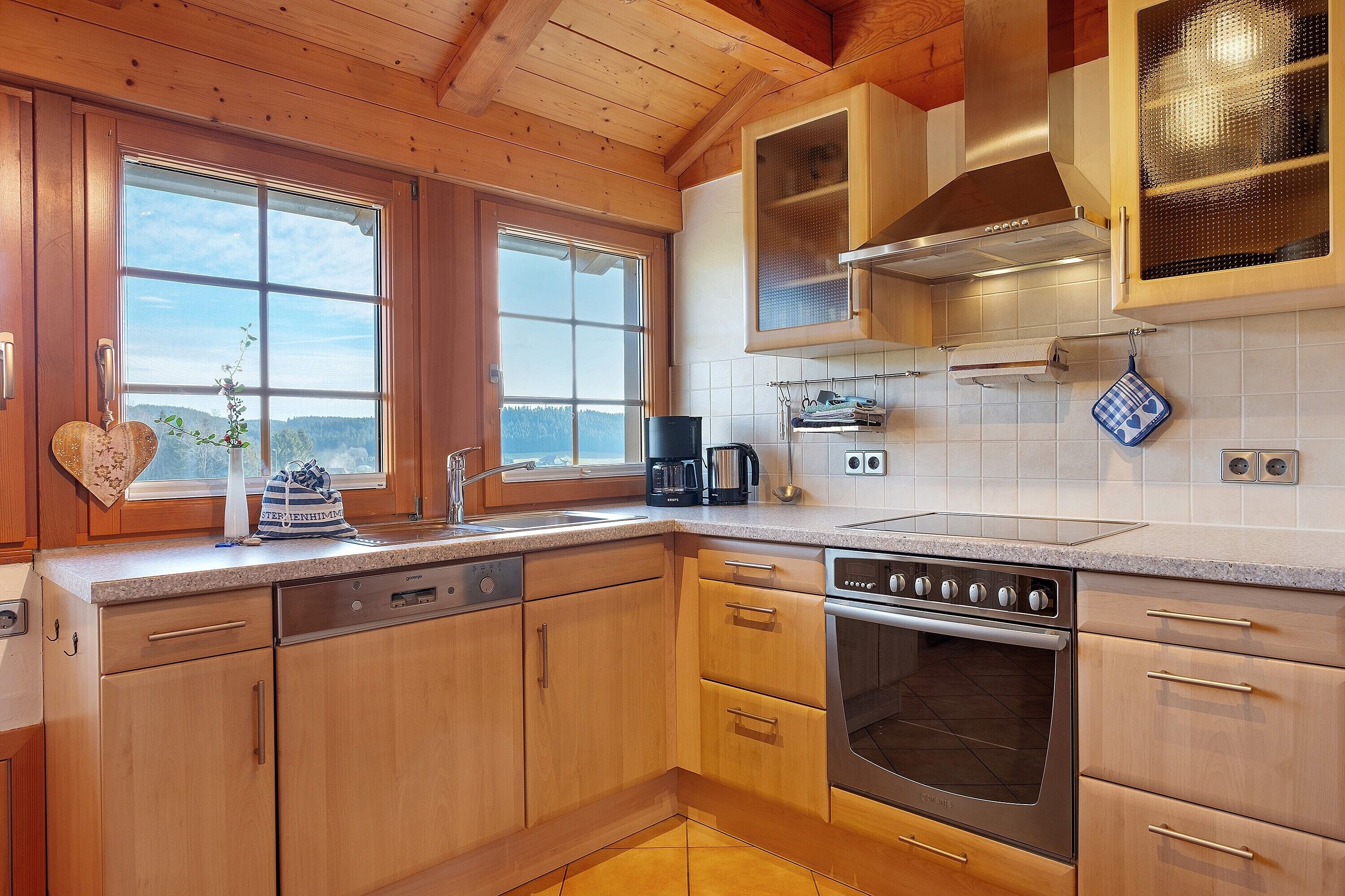 Kühlschrank, Ofen, Herdplatte, Geschirrspüler