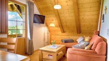 Fernseher, Stereoanlage