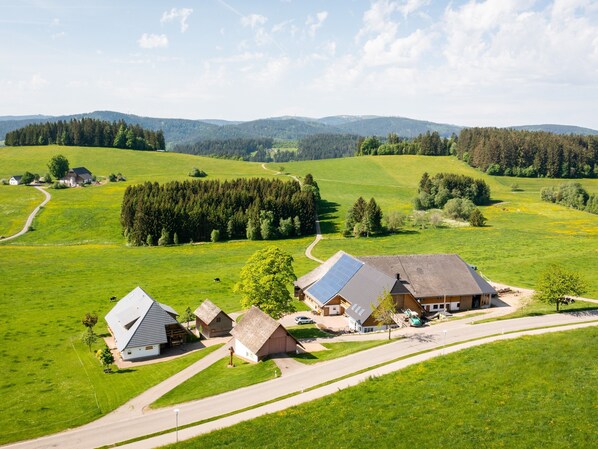 A rural landscape with a farmhouse, a road, and surrounding fields.