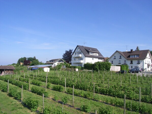 A residential area with houses, a garden, and a solar panel.