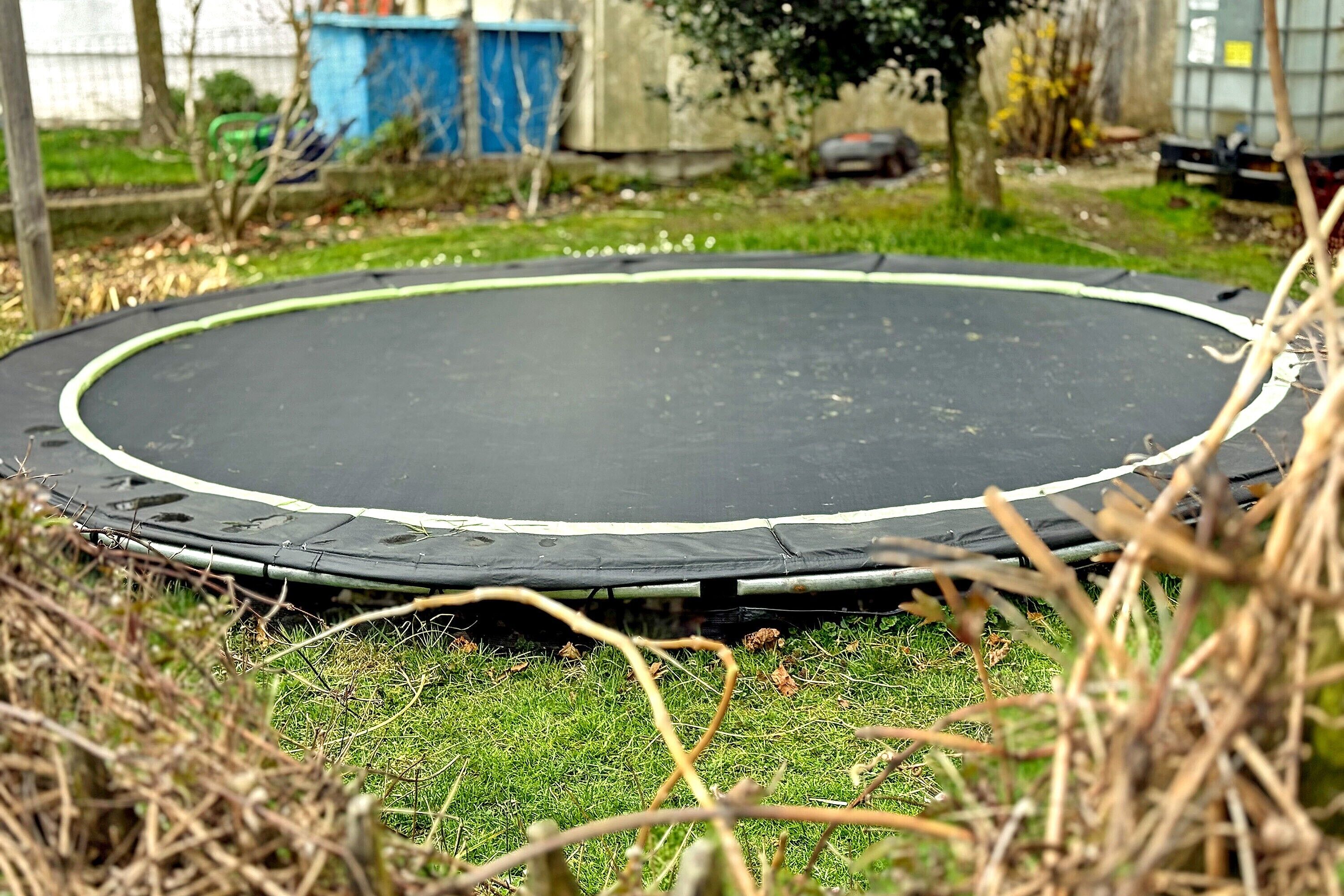 Ein runder Trampolin, umgeben von Gras und trockener Vegetation.