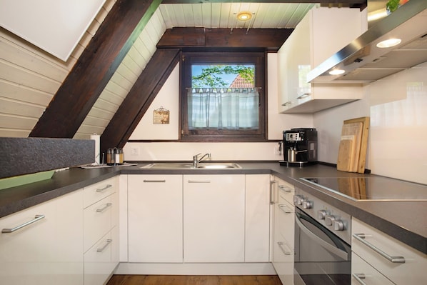 Fridge, oven, stovetop, dishwasher