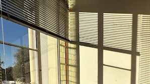 A modern living room with a sectional sofa, a glass coffee table, and large windows with blinds.