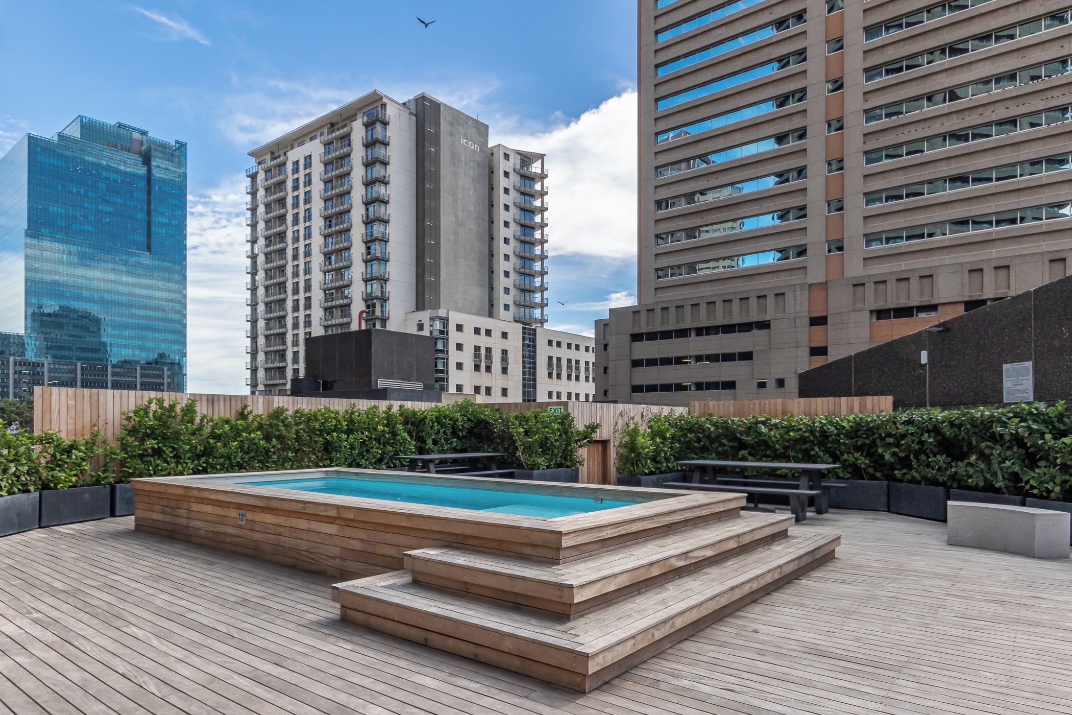 Un área de piscina en la azotea con escalones de madera que bajan a la piscina, rodeada de vegetación y con vistas a un paisaje urbano con edificios modernos.