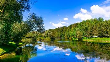 Un río tranquilo con abundante vegetación y árboles reflejados en el agua.