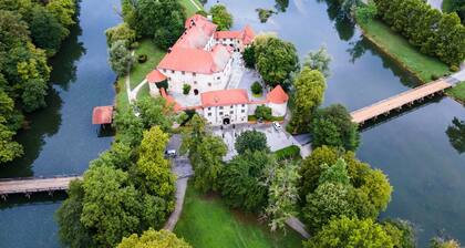 Tourist Farm Škrbina Apartments