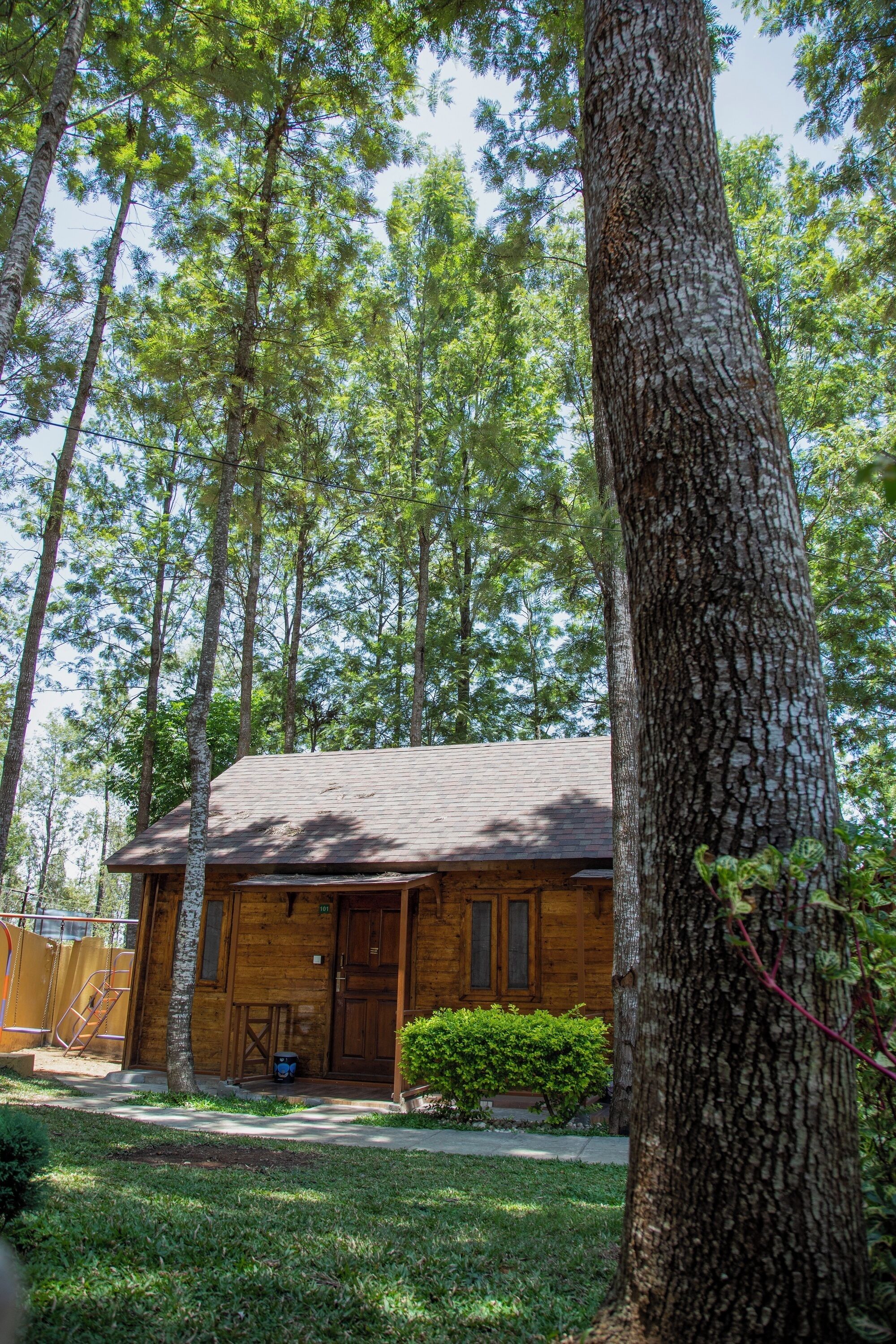 Deluxe Room | Egyptian cotton sheets, premium bedding, desk, free WiFi