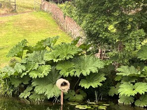 Ducha, secador de pelo