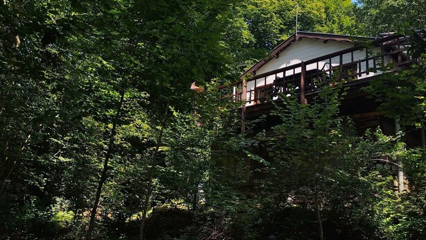 Un edificio tradicional japonés con terraza de madera, rodeado de un bosque frondoso.
