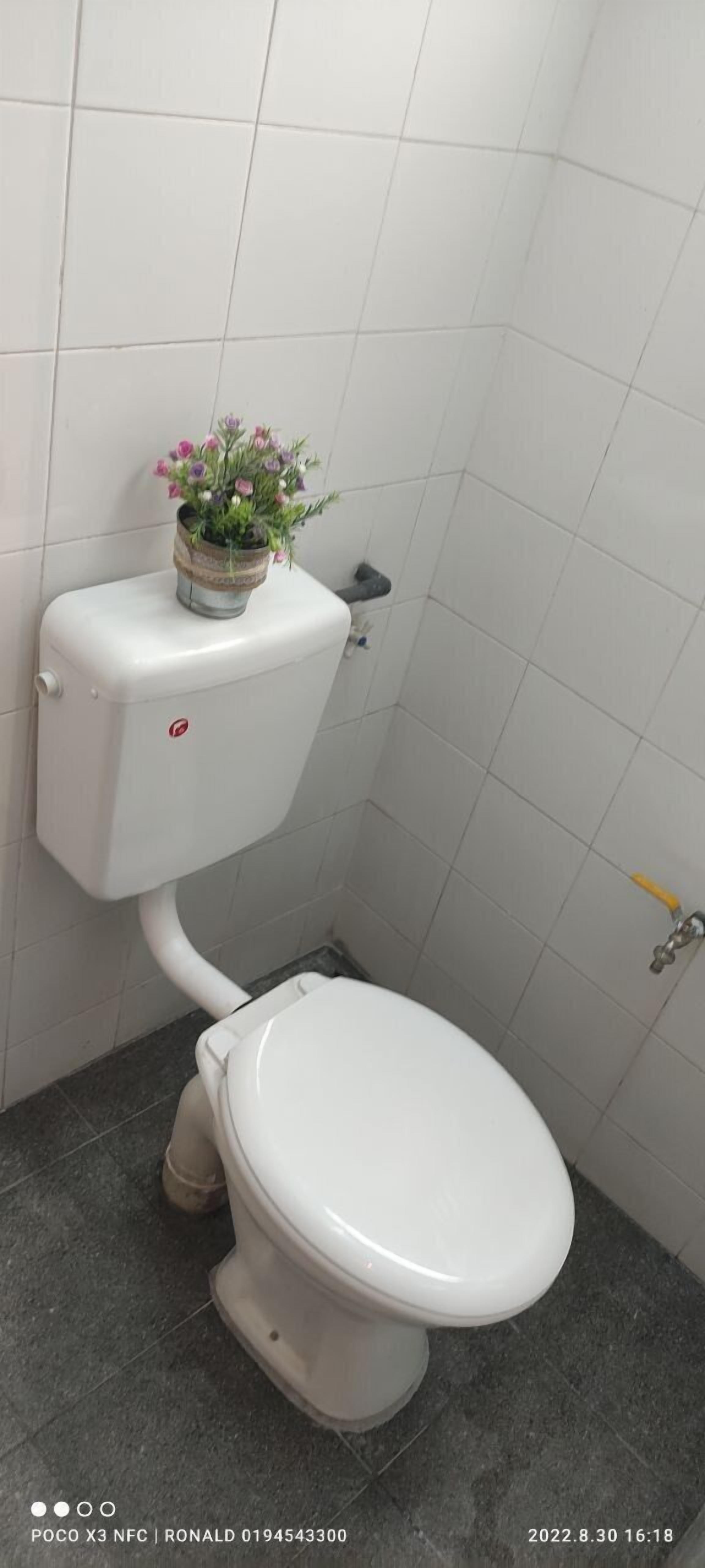 A white toilet with a small potted plant on top, grey tiled walls, and a grey floor.