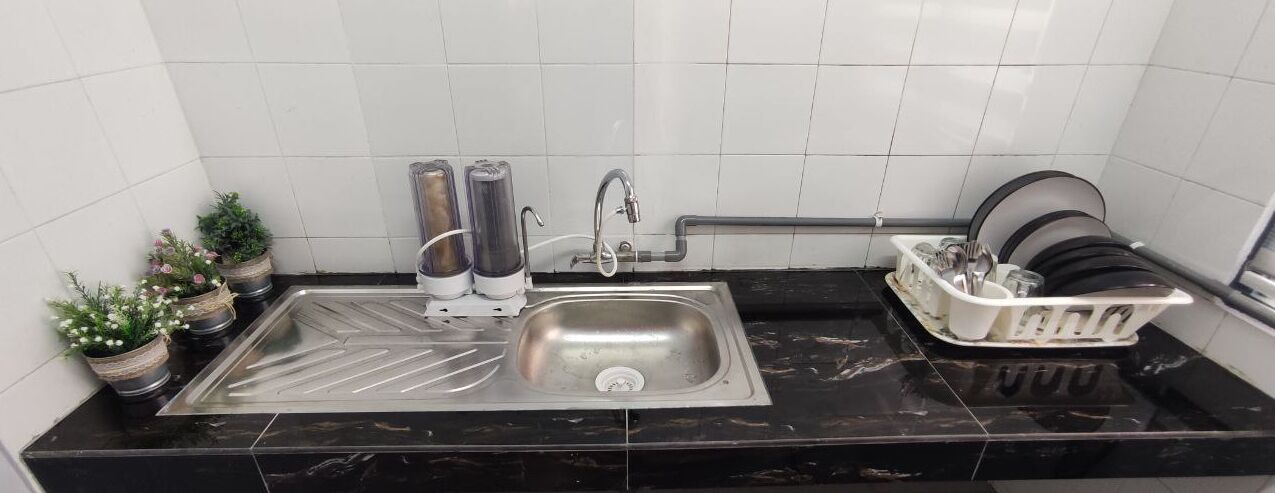 A kitchen with a stainless steel sink, a dish rack, and potted plants.