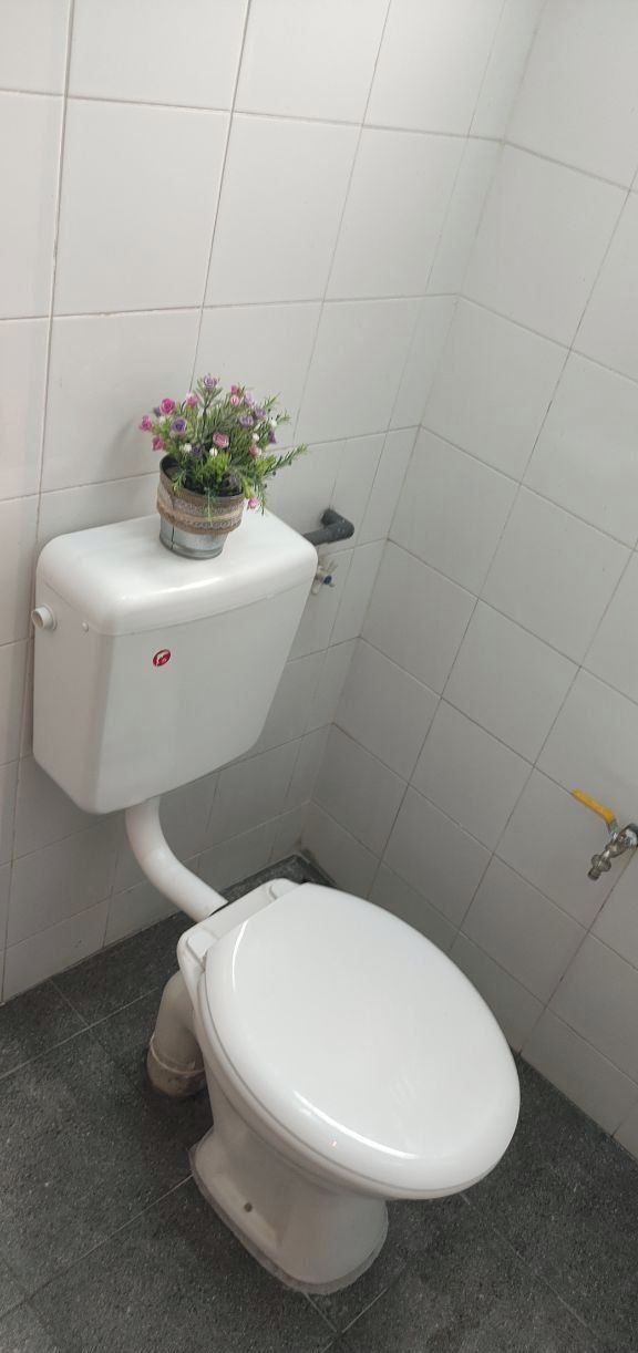 A white toilet with a small potted plant on top, grey tiled walls, and a grey floor.