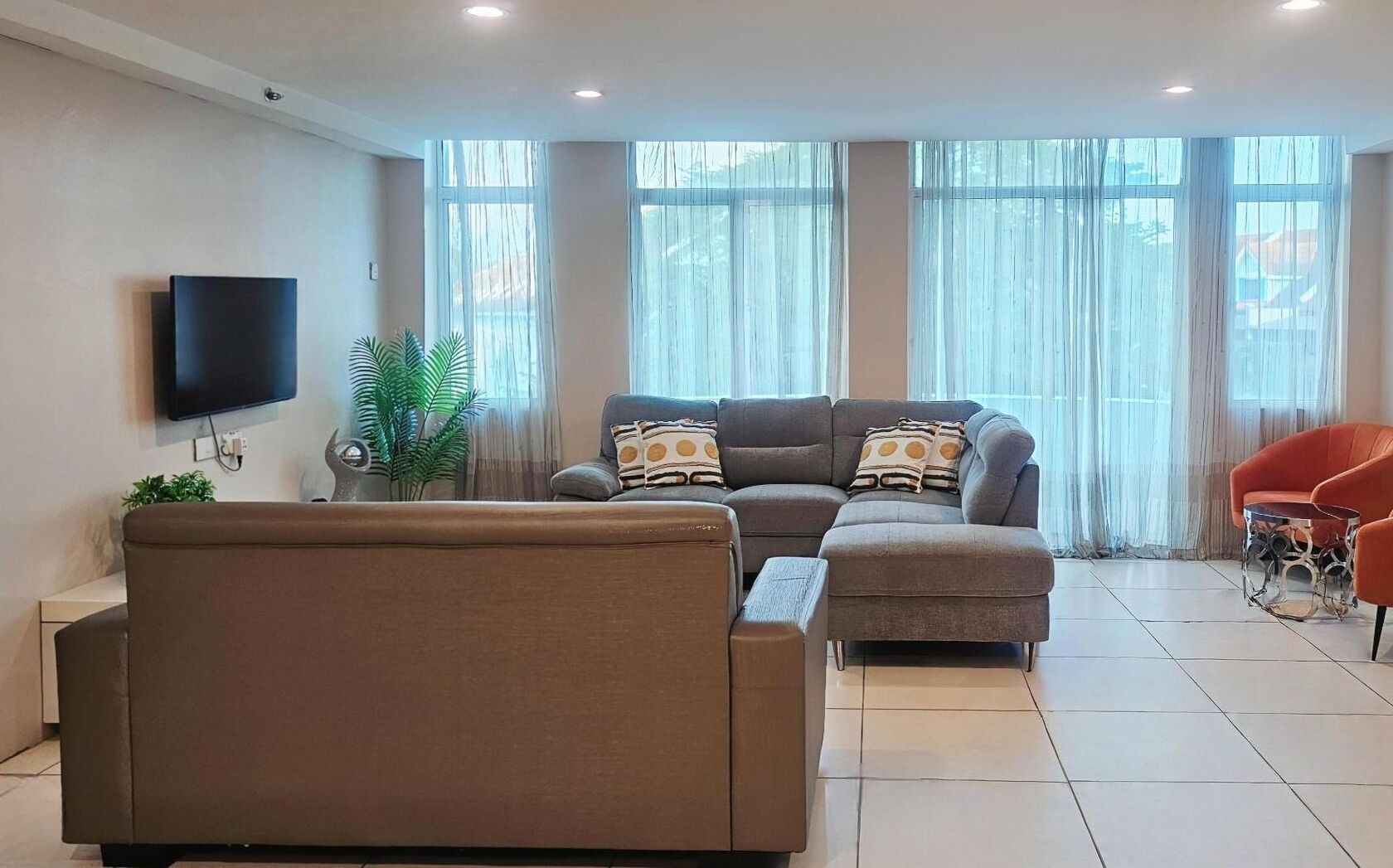 A modern living room with a sectional sofa, a flat-screen TV, and a potted plant.