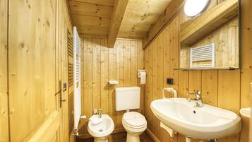 Shower, hair dryer, bidet, towels