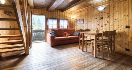 Beautiful apartment for 4 guests with TV, balcony, pets allowed and panoramic view