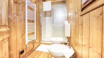Shower, hair dryer, bidet, towels