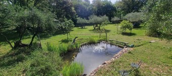 Chalet Avec Piscine Privée AU Milieu DE LA Forêt