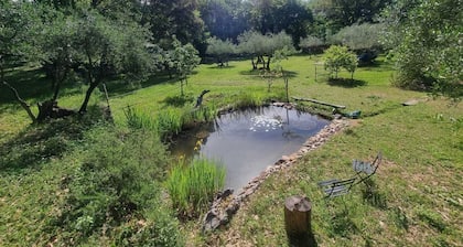 CHALET INDĂPENDANT AVEC PISCINE PRIVĂE AU MILIEU DE LA FORĂT PROVENĂALE.
