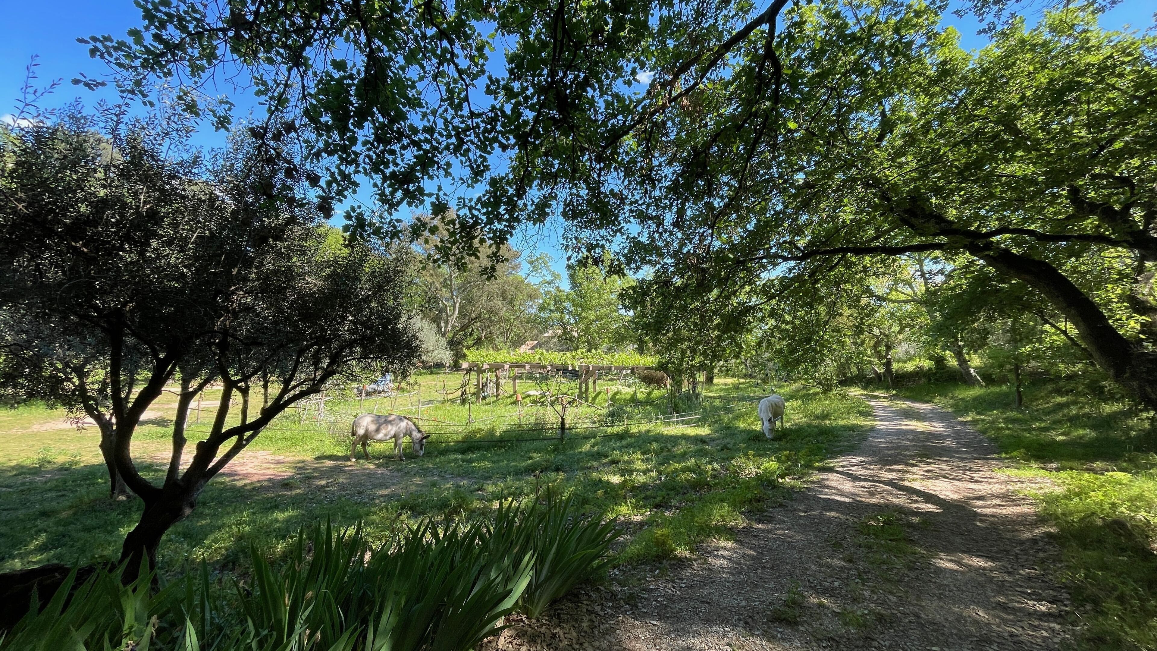 Parco della struttura