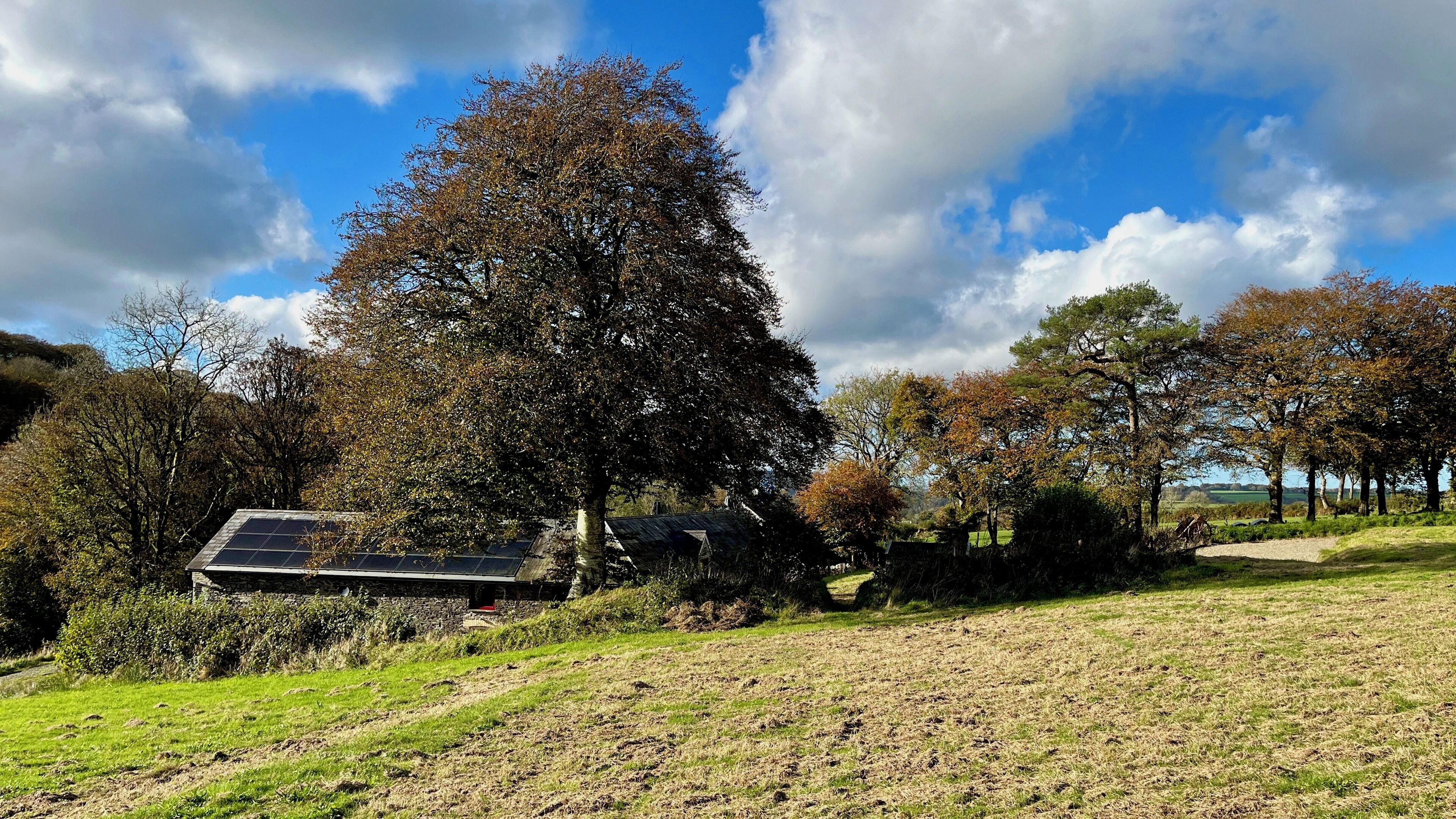 A rural landscape with a large tree, a stone building with a sloped roof, and a grassy field.