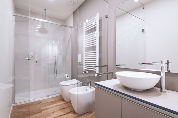 Shower, hair dryer, bidet, towels