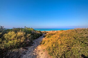 On the beach - Athena: Scenic Villa near the Sea (Sani)