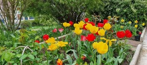 Property grounds - Studio Indépendant Refait à Neuf (Villiers-Saint-Denis)