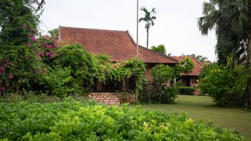 Pemandangan taman