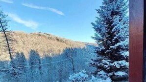 Un paysage enneigé avec une montagne et des arbres.