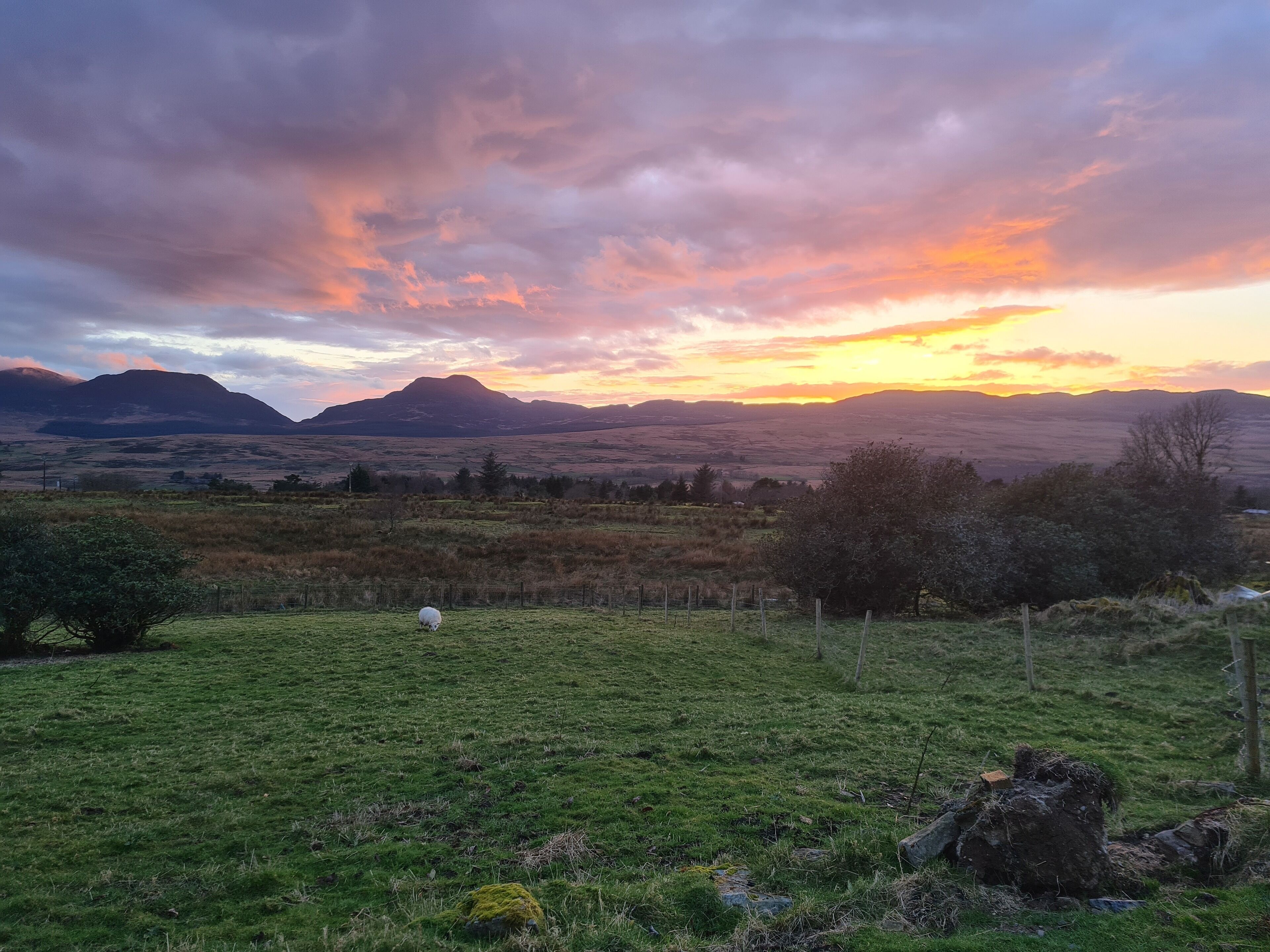Comfort-dobbeltværelse | Terrasse/gårdhave