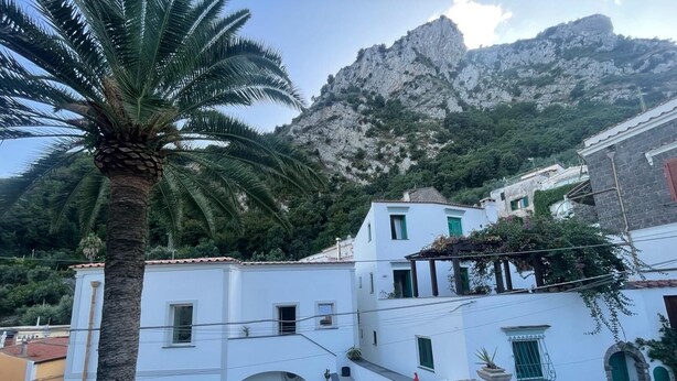 A white building with a balcony, a palm tree, and a mountainous backdrop.