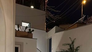 A modern, multi-level outdoor space with a staircase, potted plants, and a seating area.