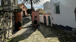 A narrow cobblestone street with historic buildings, a palm tree, and a bell tower.