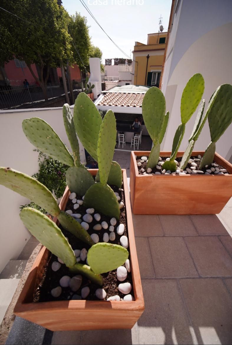 Dos macetas de madera rectangulares con cactus verdes grandes y guijarros blancos en un balcón.