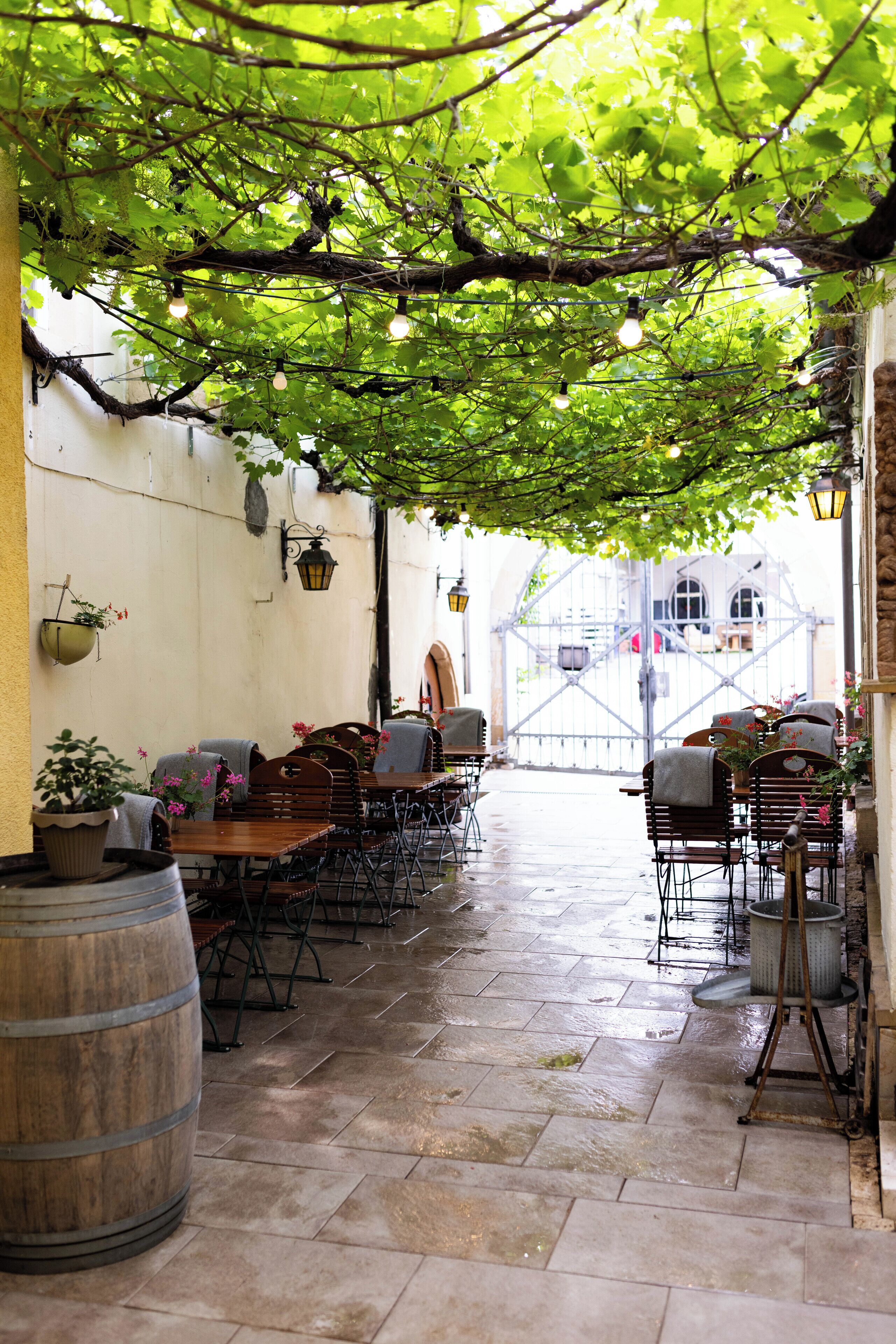 An outdoor café with wooden tables and chairs, potted plants, and hanging light bulbs.