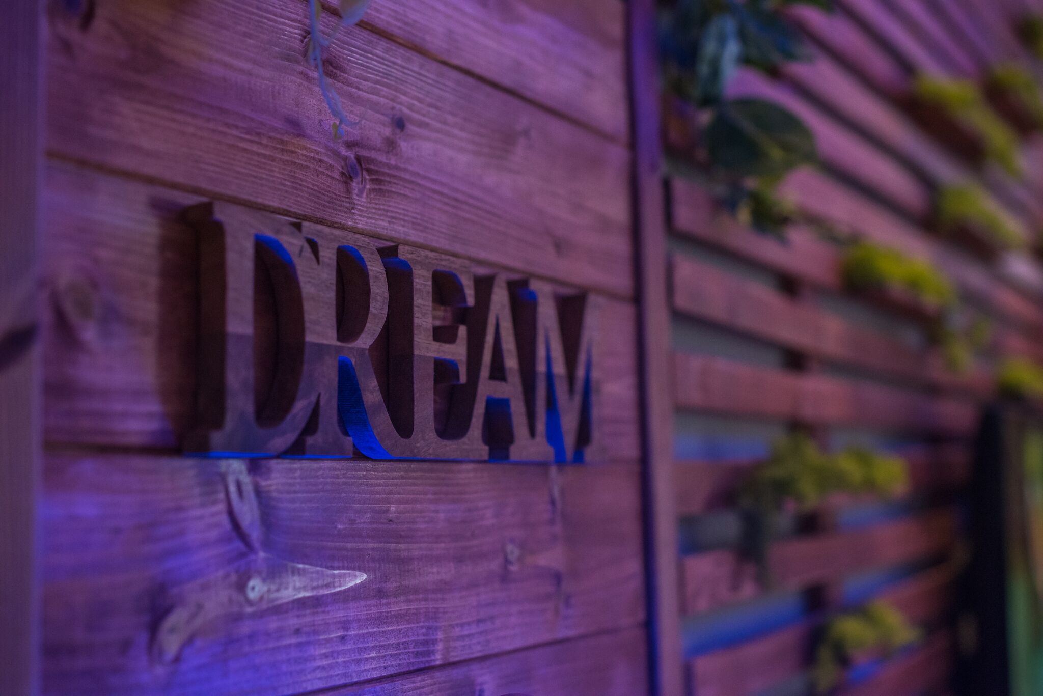 A wooden wall with the word "DREAM" carved into it.