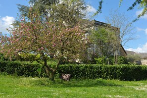 Property grounds - Gîte L'olivier (Bazoges-en-Pareds)