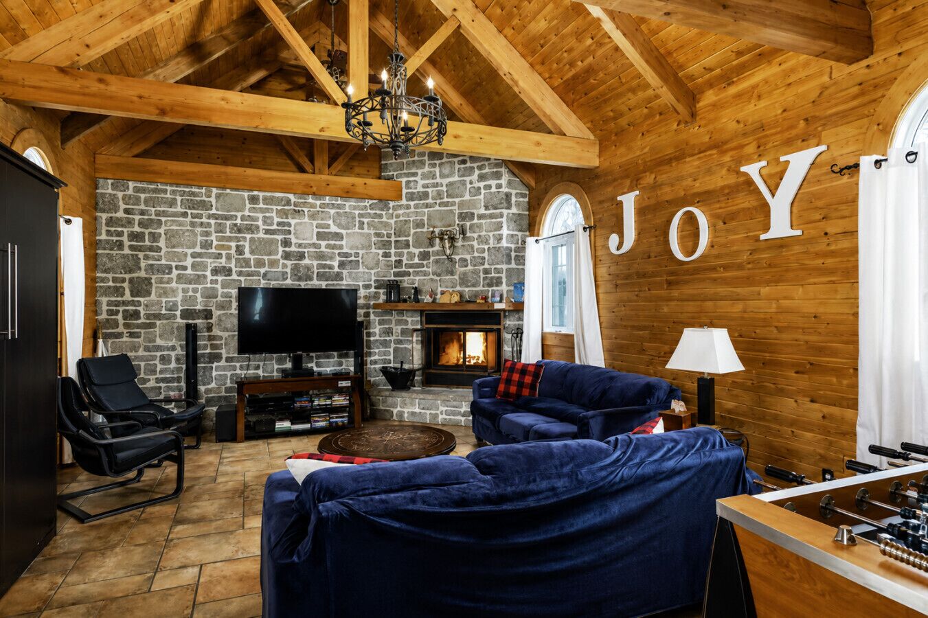 TV, fireplace, books
