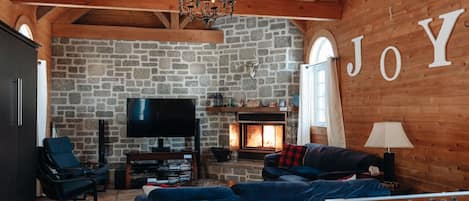 TV, fireplace, books