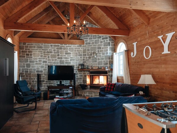 TV, fireplace, books