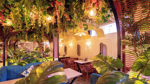 A restaurant with blue upholstered seating, large tropical plants, and hanging greenery. - Pink Mango A Boutique Hotel (Hisar)